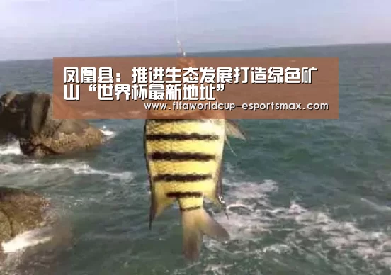 凤凰县:推进生态发展打造绿色矿山“世界杯最新地址”(图1) 世界杯体育平台