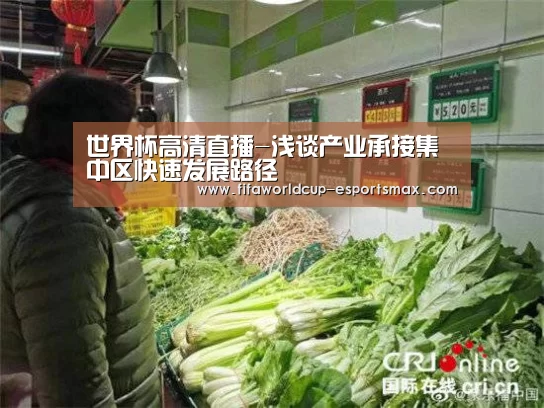 世界杯高清直播-浅谈产业承接集中区快速发展路径(图1) 世界杯电竞竞猜