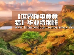 世界杯体育平台
