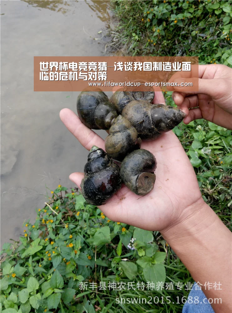 世界杯电竞竞猜-浅谈我国制造业面临的危机与对策(图2) 世界杯体育平台