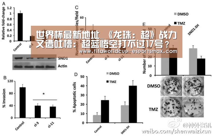 世界杯最新地址_《龙珠:超》战力又遭吐槽:超蓝悟空打不过17号?(图2) 世界杯最新地址