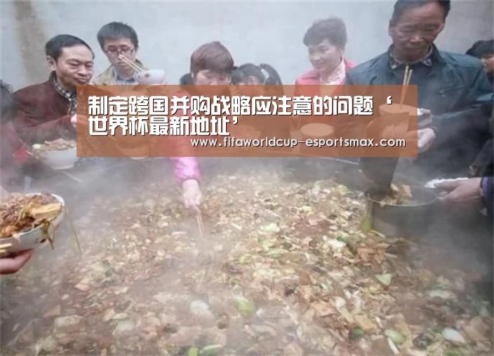制定跨国并购战略应注意的问题‘世界杯最新地址’(图3) 世界杯体育平台